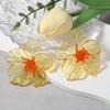 ZA Pendientes de Tachuela de Flor Transparente de Acrílico de Personalidad Exagerada de Moda Transfronteriza Elegantes Versátiles Moda para Fotografía Callejera
