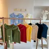 2025 Nuevo Chal Pequeño de Punto Hueco Color Sólido Coreano para Mujer Nudo Exterior Lavadora Moda Primavera y Verano Lavadora Cálida