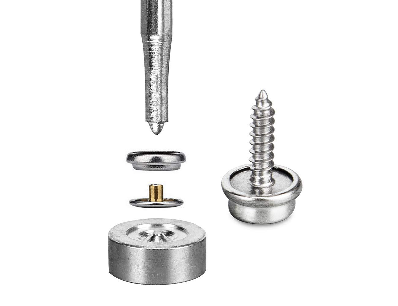 516OVWXNnqL._SL1300_