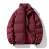 Moda Nueva de Otoño e Invierno para Hombre, Versátil, a la Moda, Cuello Vertical, Ropa Acolchada de Algodón, Color Sólido, Juvenil, Casual, Grueso, Cálido, Traje tipo Pan