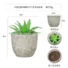 Planta en Maceta Artificial Mini Transfronteriza Hecha a Medida Adornos de Escritorio Bonsái Suculento de Simulación Flor Artificial Planta Verde Pulpa Suculenta Planta en Maceta