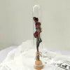 Decoraciones Rama Única Embalaje de Cartón Lujo Ligero Nórdico Tubo de Ensayo de Flor Seca Interior Hecho a Mano Adornos Decoraciones Regalo
