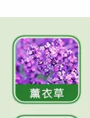 日用香精系列明细_02.jpg