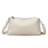 Bolso tipo almohada popular transfronterizo para mujer, nuevo bolso de mano de moda 2026 para ir al trabajo, bolso de hombro y cruzado, bolso de cuero suave, venta al por mayor desde la fuente