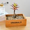 Cabeça de flor de planta suculenta com haste suprimentos criativos para DIY acessórios para arranjo de flores flor de plástico fábrica Jinhua geração de cabelo de planta verde