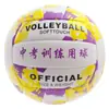 No. 5 Balones de Voleibol para Estudiantes de Secundaria y Primaria Examen de Entrenamiento de Educación Física, Estándar Juvenil Cosido a Máquina Hinchable Suave