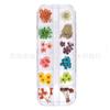 Nueva Uña Japonesa Flor Seca 12 Colores Estrella Girasol Margarita Pequeña 12 Colores Decoración de Flor Seca 24 Flores Secas para Uñas