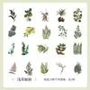 Pacote de Adesivos de Flores e Plantas Estilo Realista Insetos Transparentes Pet Impermeável Material para Caderno de Bolso Adesivos Pequenos Decorativos DIY