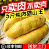 [Frete Grátis Sf] Novo Elvis Tailandês Durian Carne de Fruta Árvore Madura Congelado Carne Pura Sem Casca Fruta Sazonal Atacado para Grávidas