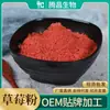 Pó de Beterraba Vermelha, Cenoura, Batata Roxa, Pó de Espinafre, Abóbora, Matcha, Pó de Morango, Couve, Cacau em Pó, Pó de Raiz de Lótus 0,5kg