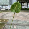 Antúrio Artificial Rosa e Branco Toque Realista 3D Flores Artificiais de Casamento Decoração Macia Flores Falsas para Casa Atacado