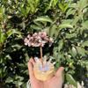 Grava de Cristal Natural Árbol de la Abundancia Interfaz USB Luz Colorida Alambre de Cobre Tejido a Mano Árbol de la Vida Regalo de Navidad
