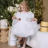 Vestido de Princesa Navideño Blanco Malla Floral Lentejuelas para Niñas Pequeñas Vestido de Un Año Envío Transfronterizo