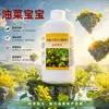 Colza colza bebé, rendimiento abundante, granos llenos, raíces fuertes, plántulas vigorosas, promueve el ramificado, más flores, más vainas, rendimiento aumentado, fertilizante foliar de alto rendimiento