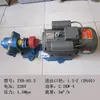 Bomba de Aceite de Engranajes de Hierro Fundido ZYB18.3/33.3/55/83.3 Alta Presión Alta Temperatura Eléctrica 220V380V Bomba de Aceite de Escoria