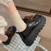 Zapatos de cuero gruesos y pequeños con cordones estilo británico para mujer, primavera y otoño 2025, zapatos Mary Jane de cabeza redonda