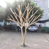 Color Madera Natural Forma de Tronco de Árbol y Ramas Árbol Decorativo Rama de Árbol Madera Maciza Exhibición Perchero