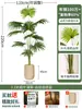Palmera Areca Artificial Grande de Lujo de Gama Alta, Planta Verde, Árbol Falso, Planta de Bambú Cola de Fénix para Decoración de Paisajismo Tropical de Interiores