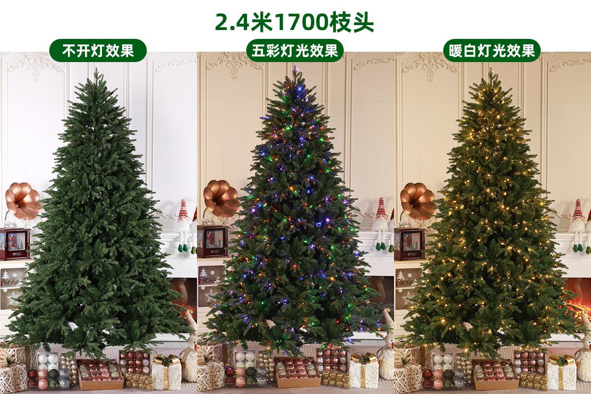 2.4m 1700t.JPG