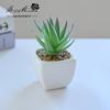 Suculenta Pequeño Bonsái Cerámica Muebles para el Hogar Decoración Fabricante de Jinhua Plantas Verdes Aliexpress Flor Artificial Plantas en Maceta