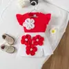Amazon Xiyin Comércio Exterior Transfronteiriço Menina Aplique Manga Bufante Top Canelado Saia Floral Conjunto de 2 Peças