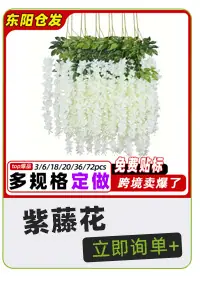 未标题-4_13.jpg