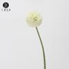 Ventas Directas de Fábrica Bolas de Cebolla Artificiales Flores de Plástico Artificiales Decoración de Bodas Navidad Bola de Hierba Clavel Verde Materiales de Flores Artificiales para Paisajismo