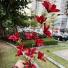 Oferta Especial Tema Rojo Grande Boda Flor Artificial Al Por Mayor Nuevo Estilo Chino Borgoña Flor de Guía de Camino Base de Fila de Flores Artificiales