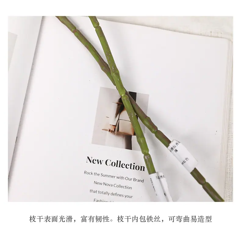 王国德拉秀玫瑰_14.jpg