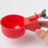 Bebedero Automático para Aves al por Mayor Paloma Pollo Hervidor Nuevo Pato Ganso Alimentación Pollo Bebedero Automático Tazón para Beber
