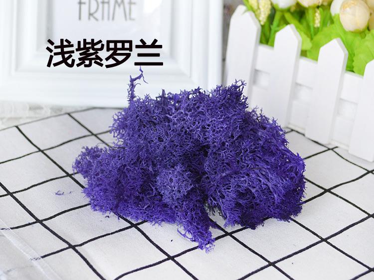 浅紫罗兰蓝