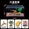 Caja de Cría para Reptiles Acrílico Paisajismo Desértico para Reptiles Gecko Rana Cornuda Caracol Lagarto Serpiente Mascota Caja de Cría