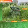 Altavoces de césped para exteriores, impermeables, para parques, jardines, césped, piedra, simulación de animales, rocalla, jardín.