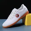 Zapatos Nuevos de Tai Chi de Primavera Malla Suave Suela de Tendón Hombres y Mujeres Zapatos de Artes Marciales Kung Fu para Pareja Zapatos Deportivos de Fitness