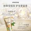 Nuevo Pantene Milagro de Tres Minutos Champú Jazmín Camelia Fragancia Duradera Acondicionador Reparador Multiefecto Envío Gratis