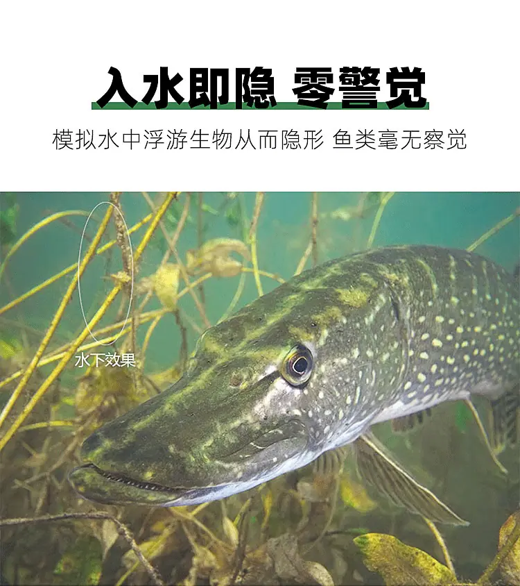 斑点线详情_03.gif