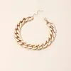 Collar de Cadena Gruesa Simple Exagerado para Mujer Estilo Europeo y Americano Combinación Perfecta Hip-hop hiphop Estilo de Hong Kong Accesorios para la Clavícula Joyería