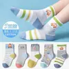 Calcetines para Niños, Estilo de Malla Fina de Verano, Versión Coreana, Lindos Calcetines de Perro de Moda, Versátiles Calcetines de Algodón Puro de Caña Media para Verano, Unisex