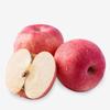 Crujiente de Manzana Fuji Roja Cristal Yantai, Dulce, Jugosa y Refrescante Roja Roja Dulce y Deliciosa Caramelo de Roca Manzana Xin Qixia