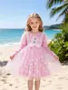 Nuevo Vestido de Princesa de Terciopelo Falda con Velo Europeo y Americano Vestido de Niña de Manga Larga Elsa Frozen Niños Medianos y Mayores