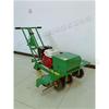 Máquina de riscar gramado artificial de empurrar à mão, faca rotativa larga, máquina de transplante de grama, máquina de jardim, máquina de enfiar gramado
