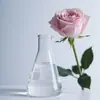 Hidrosol líquido de rosa de Damasco orgánico, materia prima de la región búlgara, venta al por mayor para uso de muestreo industrial