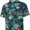 Nueva Camisa Polo para Hombre Amazon Transfronteriza Europea y Americana de Manga Corta de Secado Rápido Camisa de Golf Hawaiana 3D