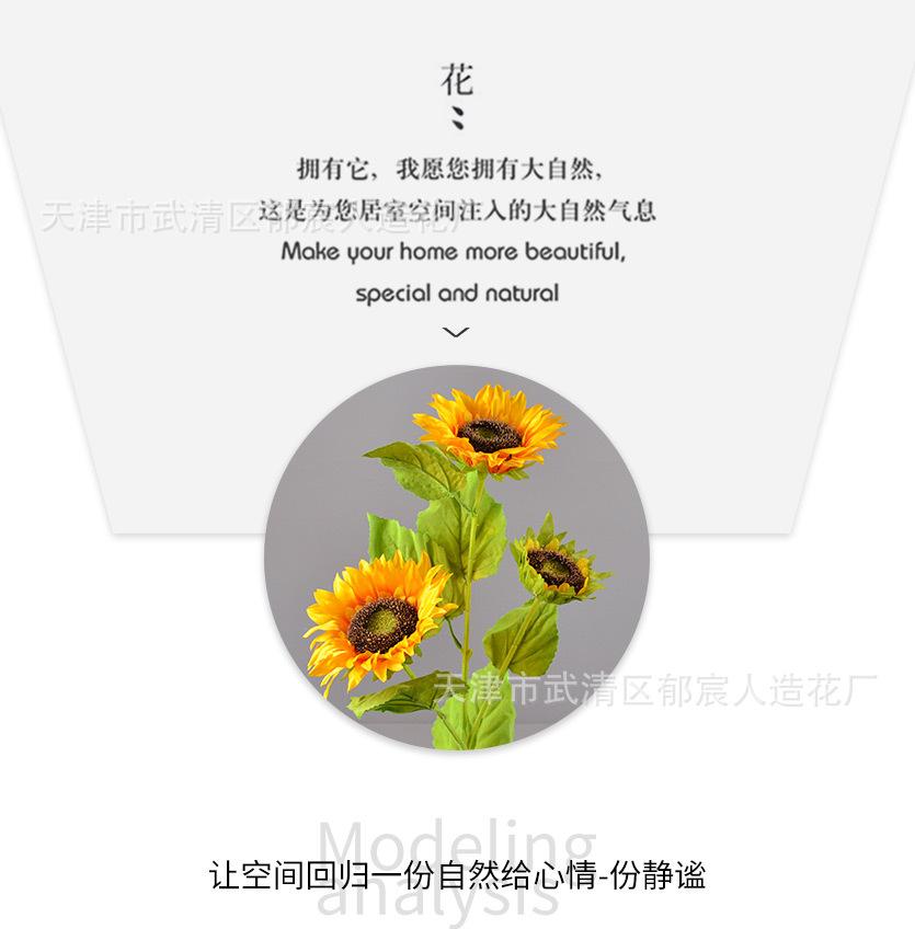 详情_04.jpg