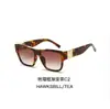 Gafas de sol de moda de otoño 2025 Transfronterizo Comercio Electrónico Transfronterizo Aliexpress Amazon Ebay Dropshipping