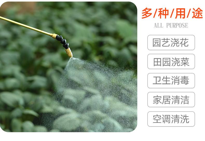 详情-10.jpg