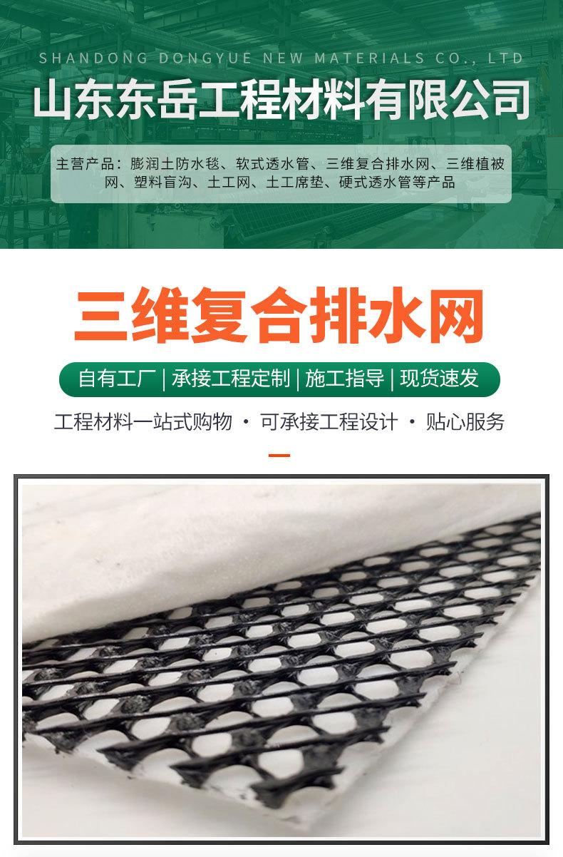 三维复合排水网_01.jpg