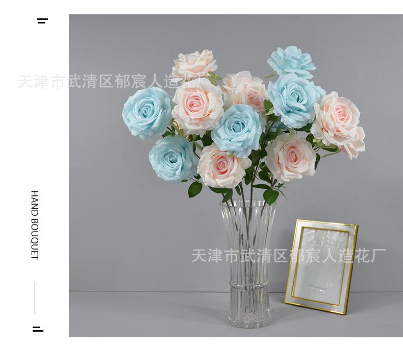 详情_12.png