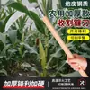 Hoz Agrícola de Acero de Artillería del Fabricante, Templado a Alta Temperatura, Resistente a la Corrosión y Duradera, Cosecha, Deshierbe, Maíz, Remaches de Refuerzo que Ahorran Mano de Obra