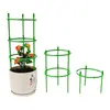 Soporte para Flores para Uso en Interiores en Casa, Tipo Universal para Flores Pinza de Cangrejo, Soporte para Hoja de Loto, Poste de Soporte para Plantas en Maceta de Jardinería